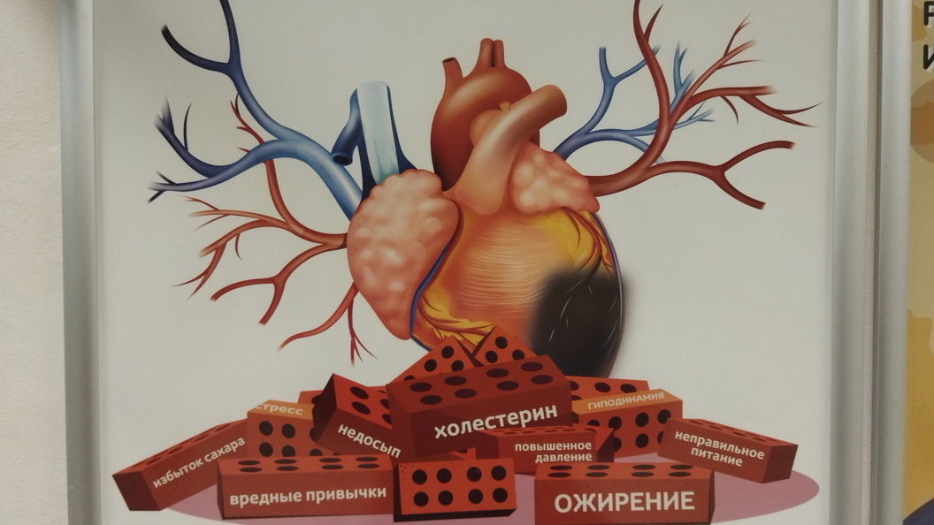    Zamir Usmanov/Globallookpress