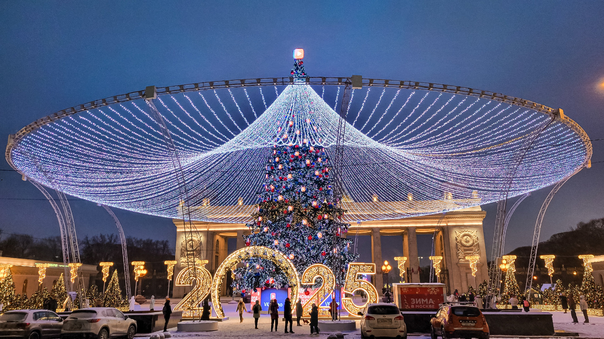 Ёлка Москве. Источник: https://avatars.dzeninfra.ru