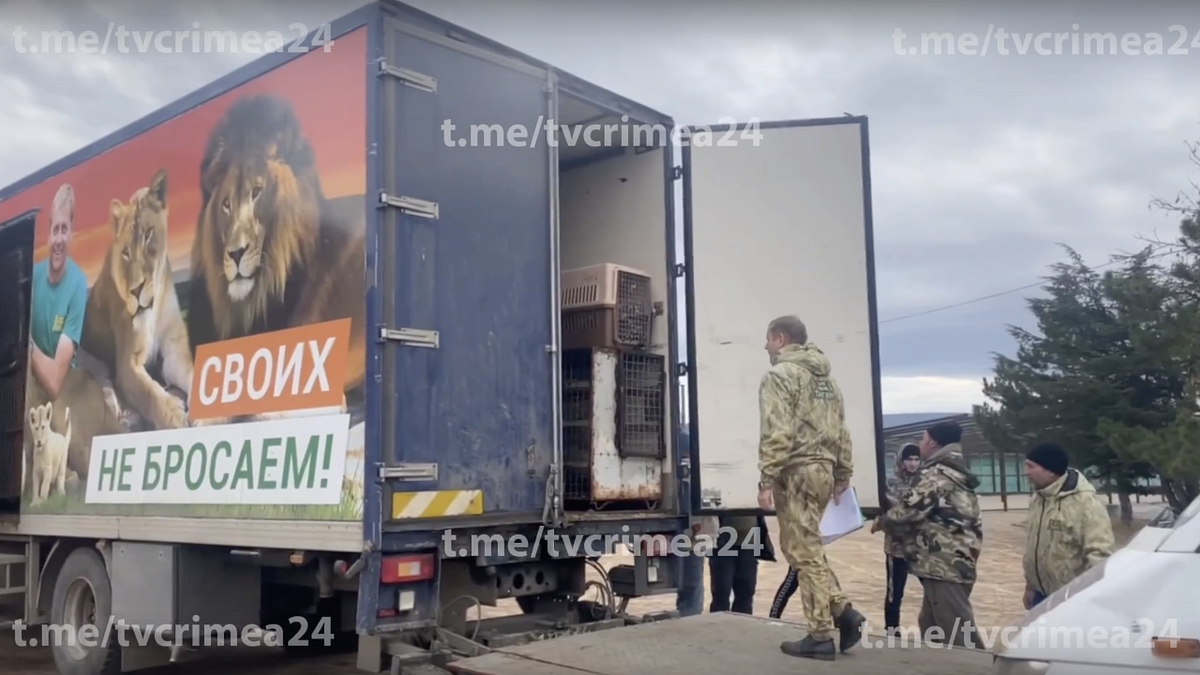    Фото: «Крым 24»