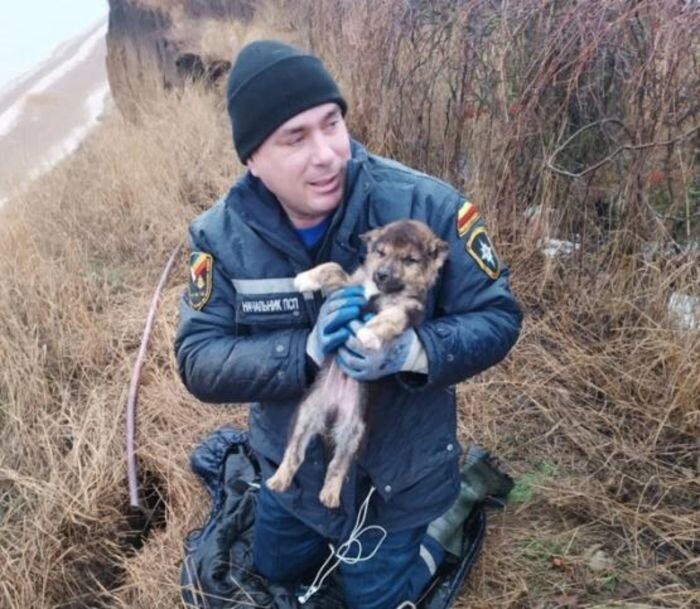 Источник фото: ГКУ РО «ПСС ВВ ТМ»