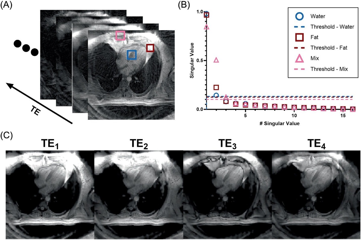    Magnetic Resonance in Medicine