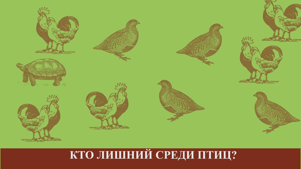 Задание № 1