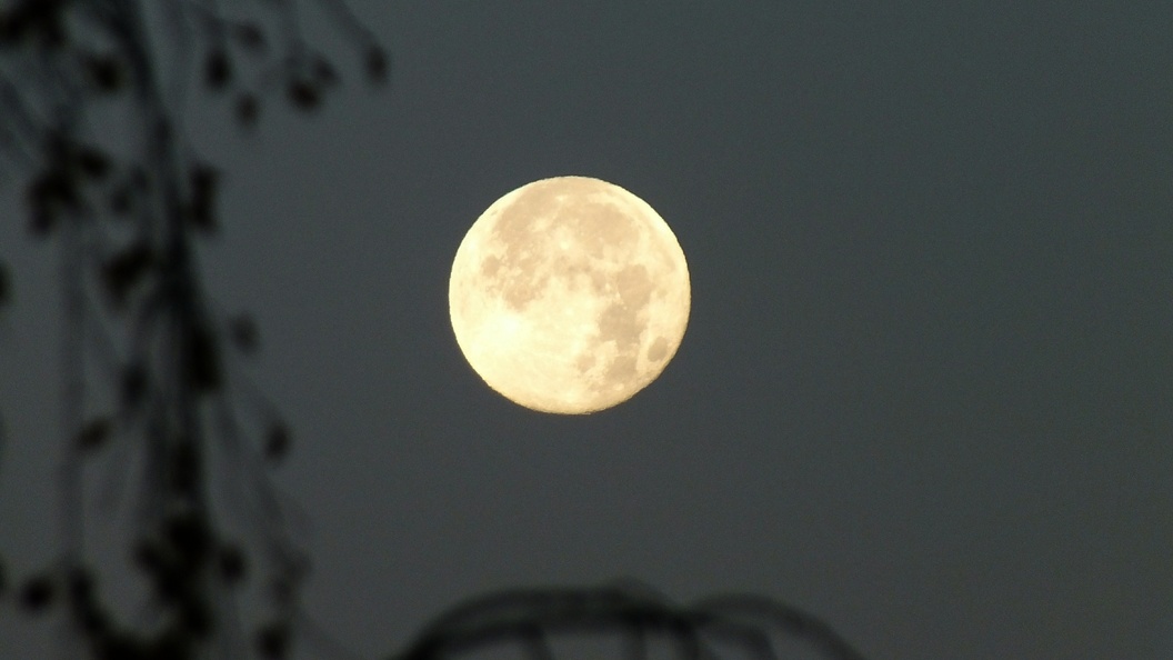    Victor Lisitsyn/Globallookpress