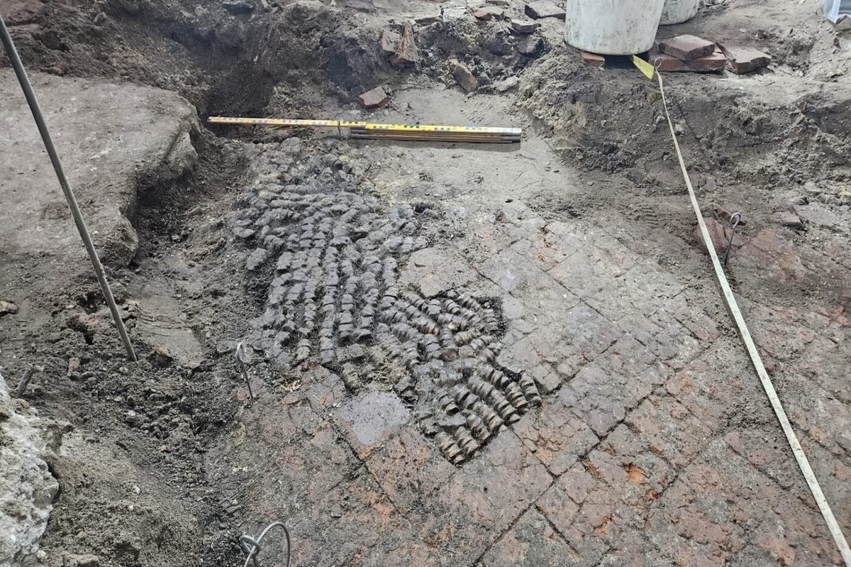    Команда археологов муниципалитета Алкмара (Municipality of Alkmaar archeology team)