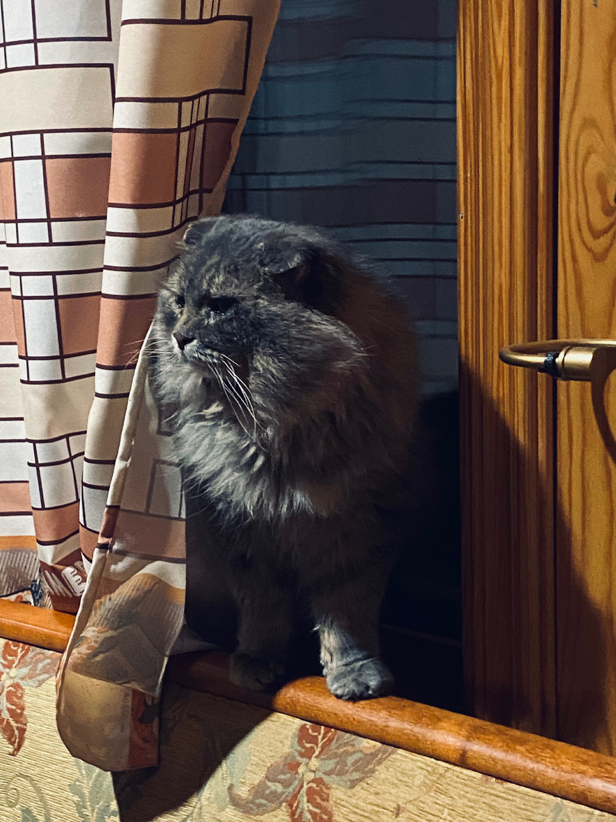 Дома все-таки лучше.