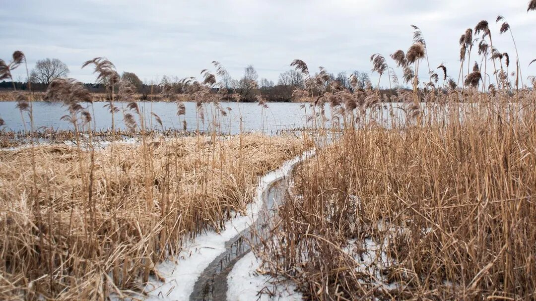    В Москву возвращается осень
