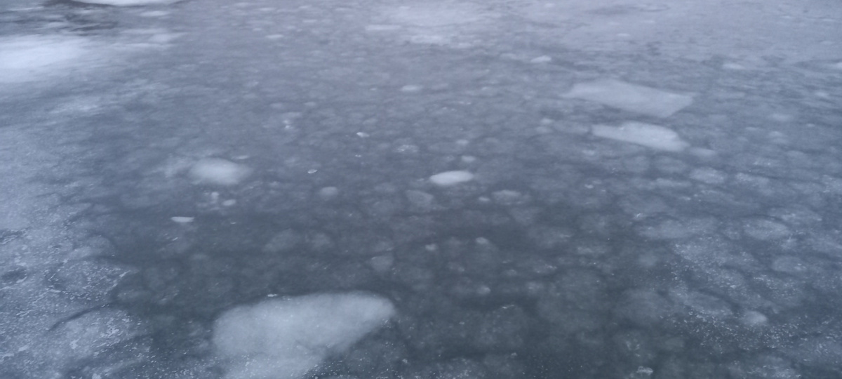 Вот такие ледяные узоры.