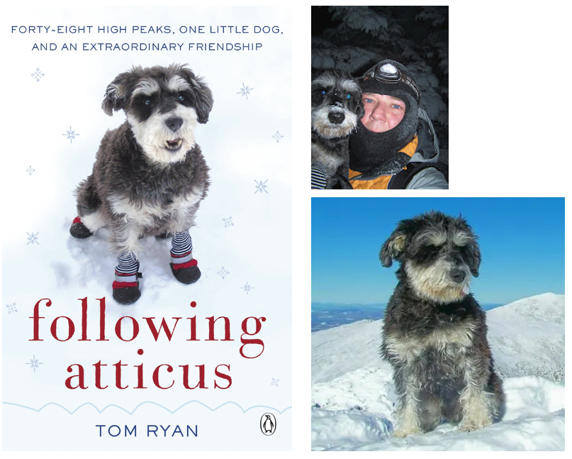 Ну не прелесть ли!