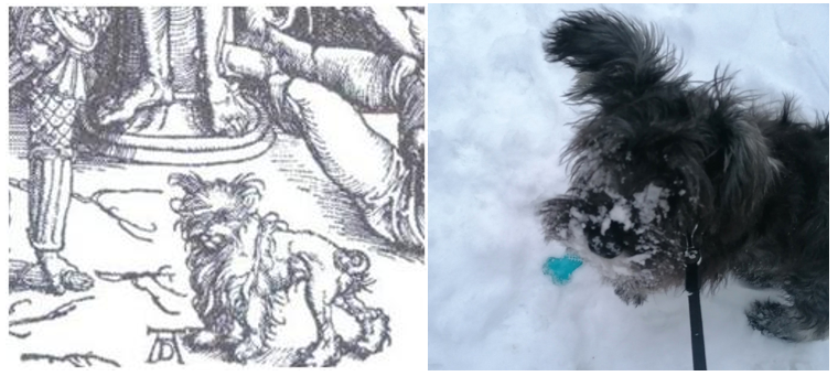 Если что, Тимоша справа!