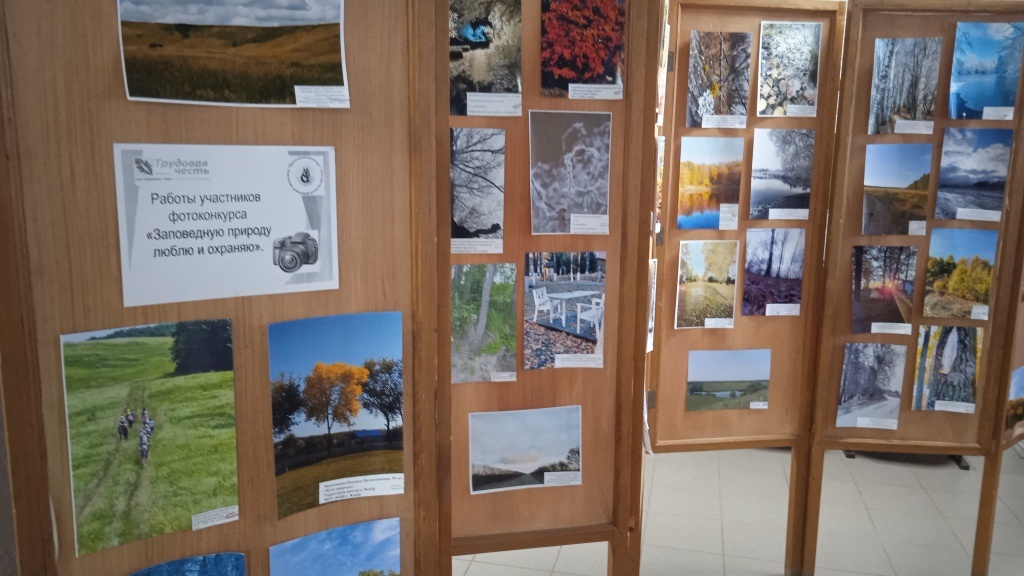 В фотоконкурсе было 3 номинации и две возрастные группы