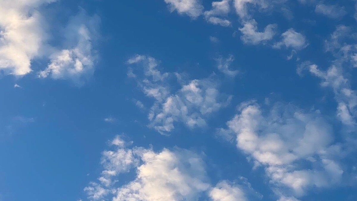    Фото: телеканал «Краснодар»