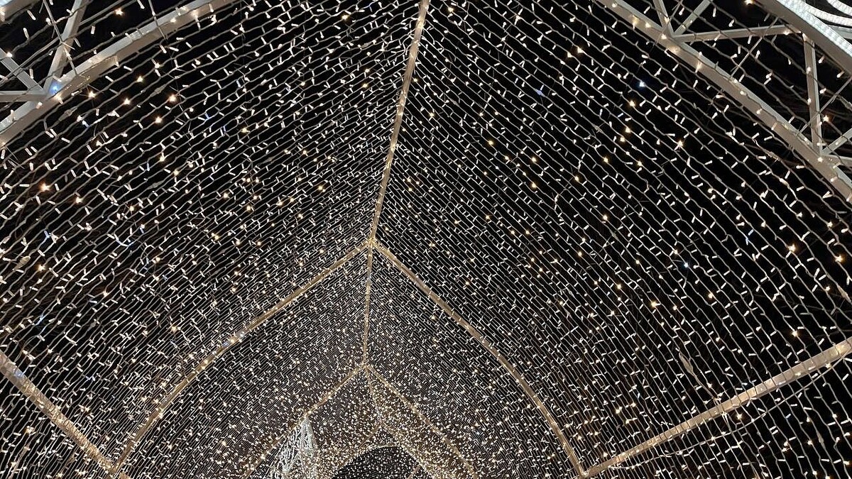    Фото: телеканал «Краснодар»