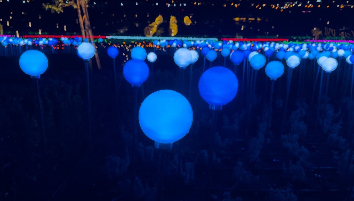 Фото: телеканал «Краснодар»