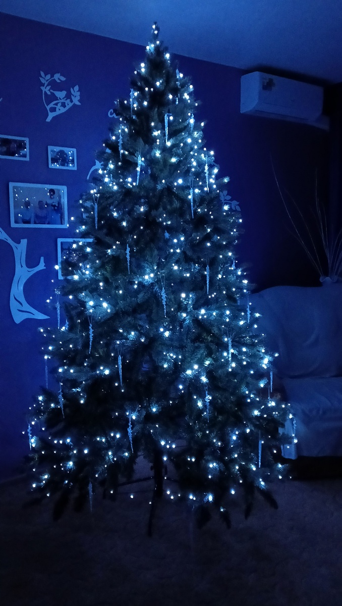 Ёлочка ёлка - лесной аромат)