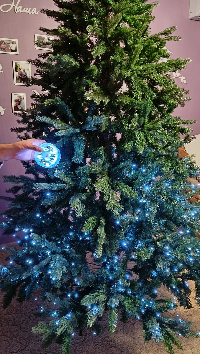  В процессе украшательства 