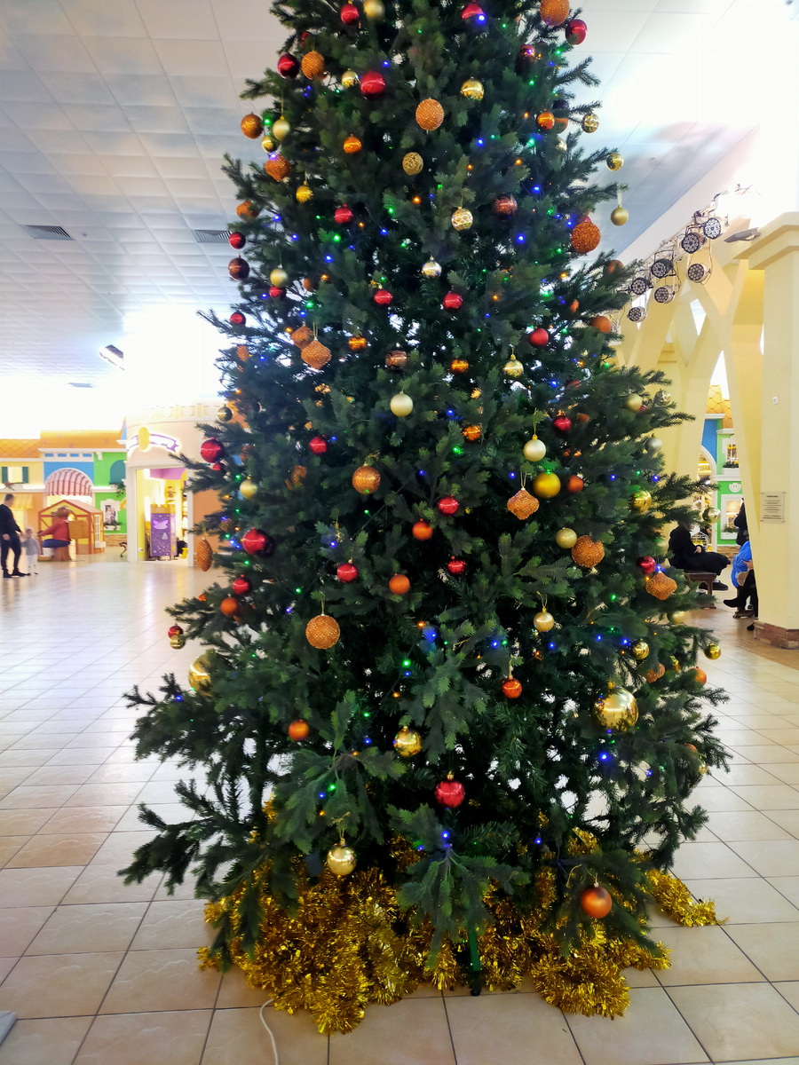 Фото автора.