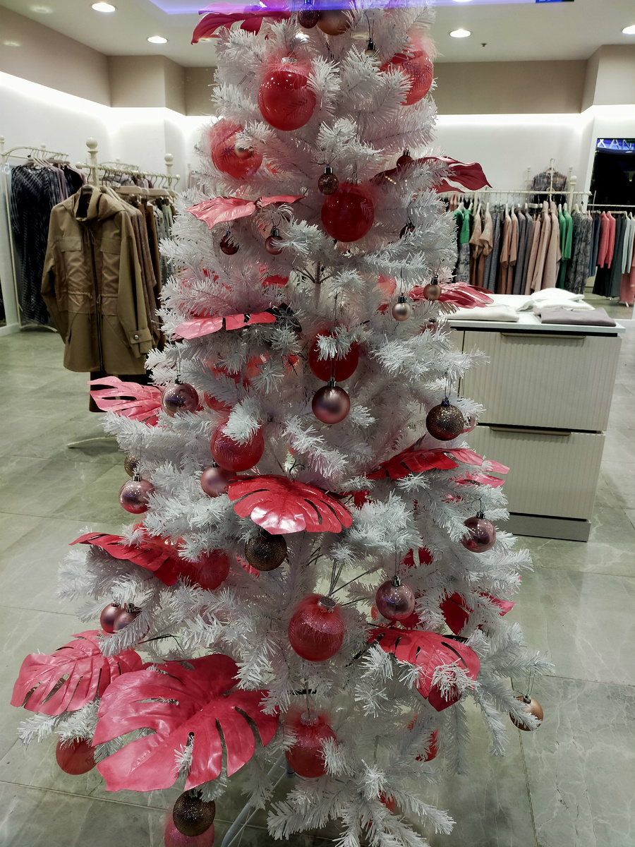 Фото автора.