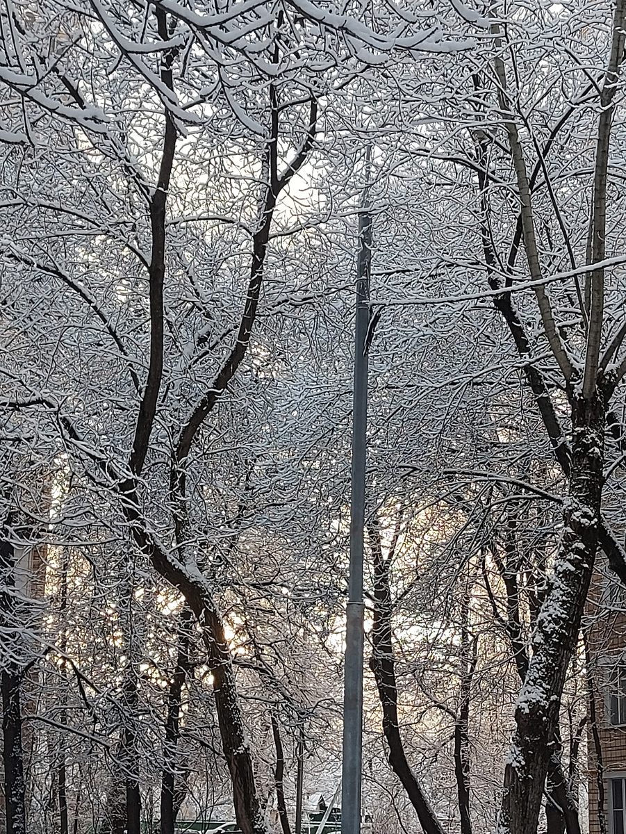 Вот так красиво у нас было... до того, как снег полностью растаял 😬