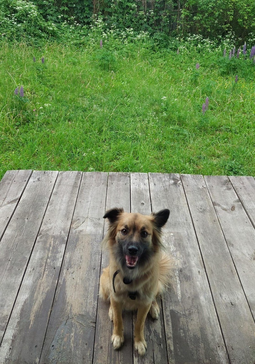 Маленький да удаленький!