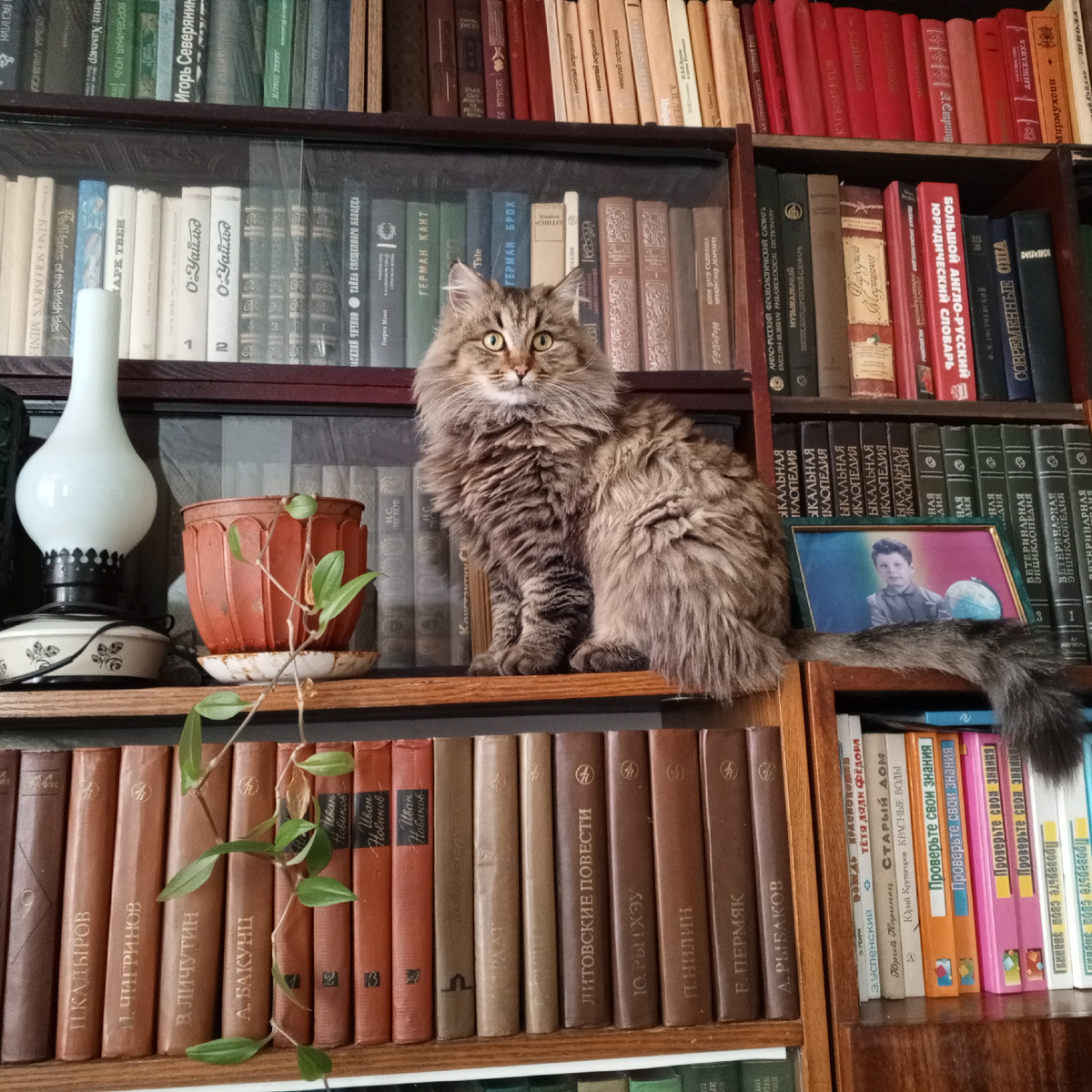 Кузема Васильевна любит гостей 