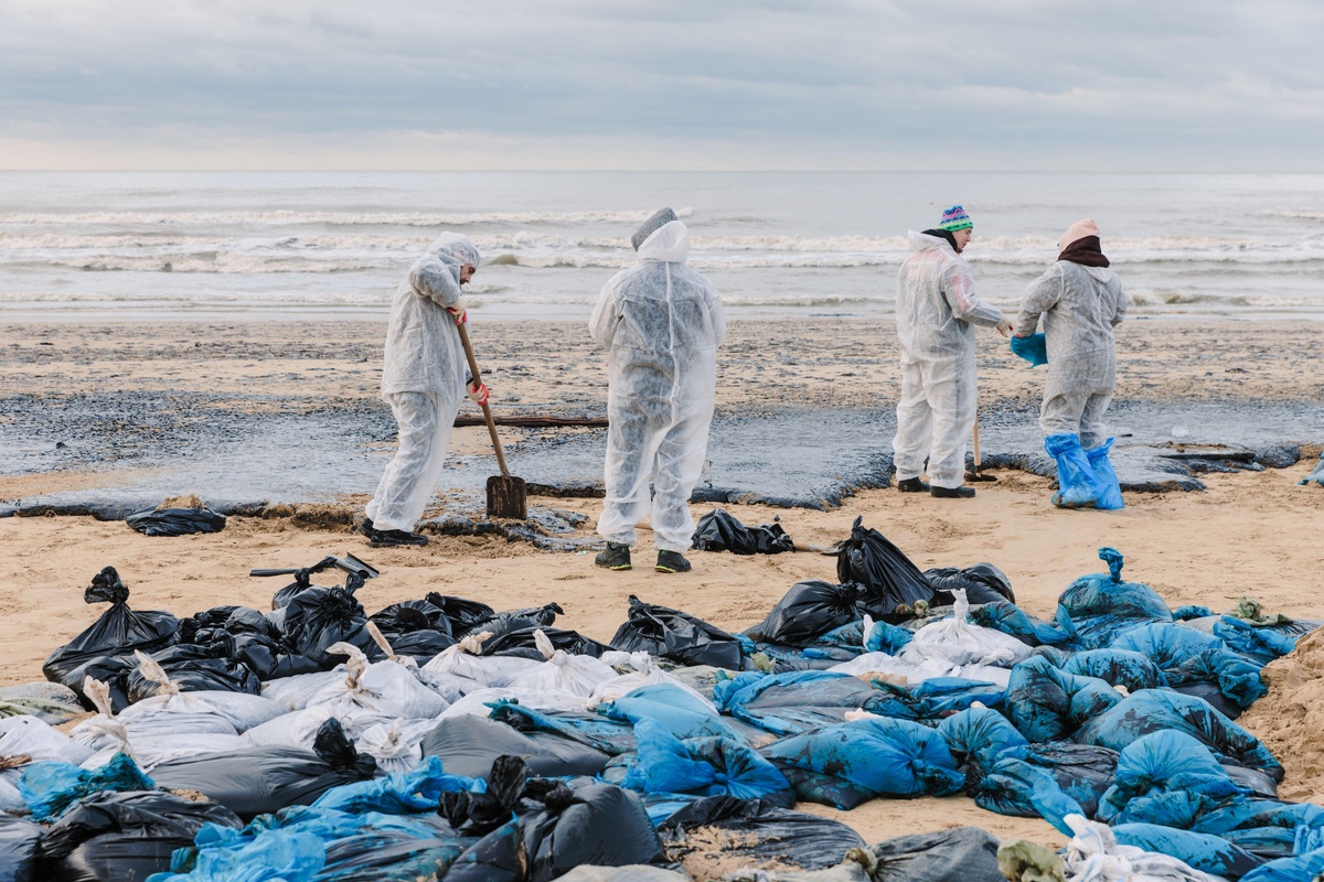     Умирающие животные и муки волонтеров: как в Краснодарском крае борются с последствиями разлива мазута