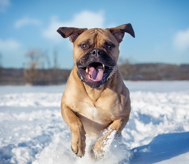 Фото из свободных источников