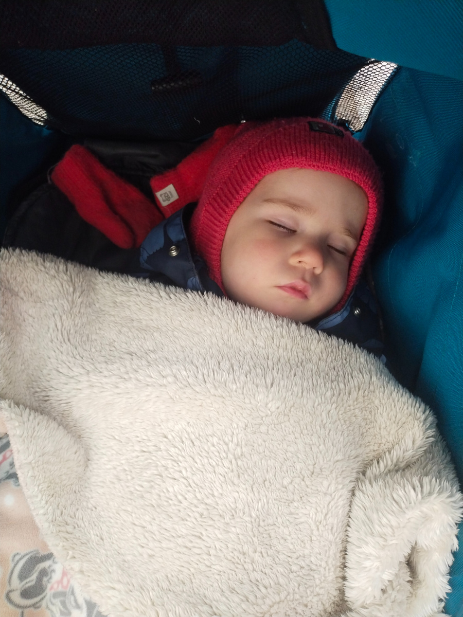 Мой любимый вид детей - спящие дети)