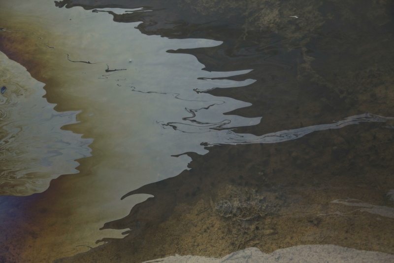    Фото: Nikolay Gyngazov/Russian Look/Global Look Press