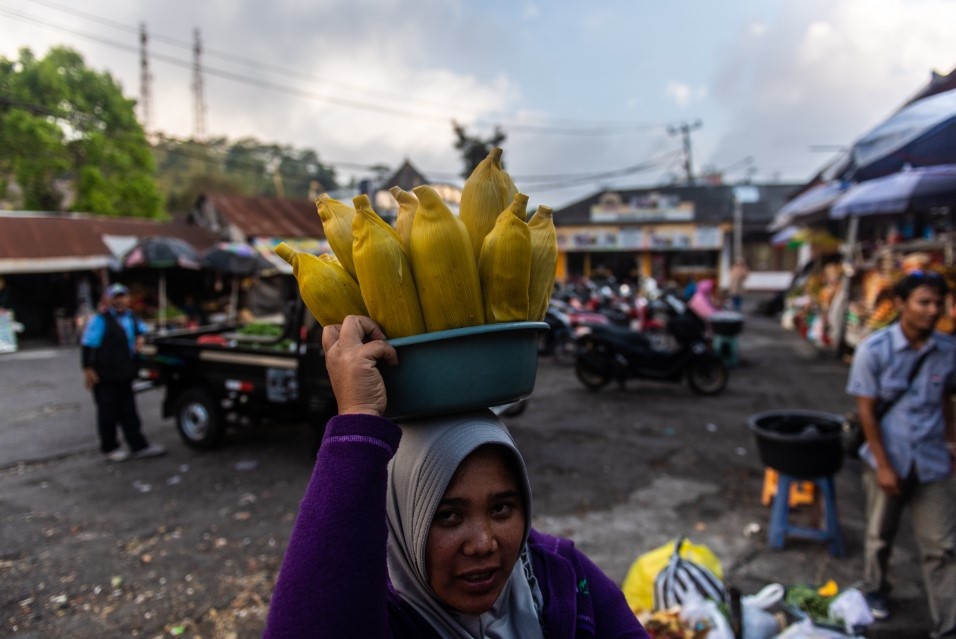    Фото: FTP/Globallookpress