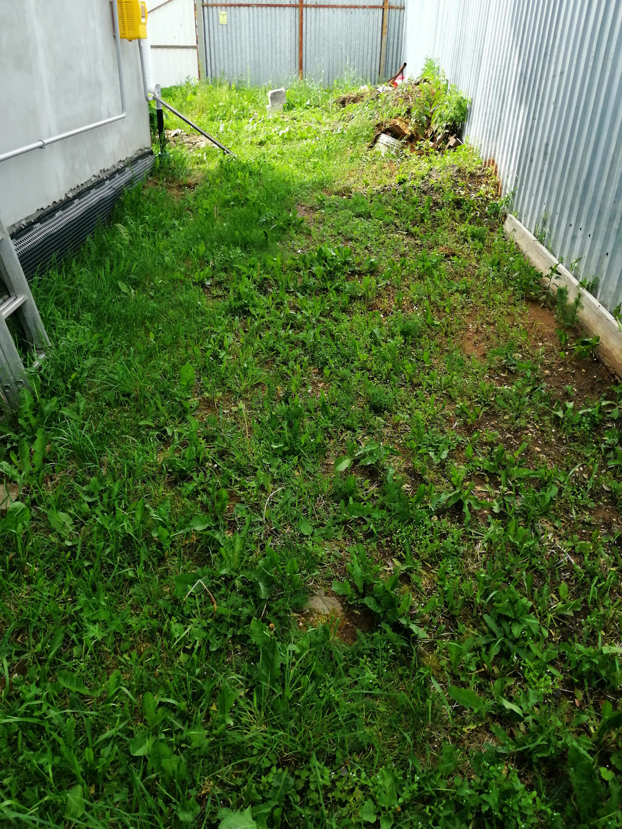 В углу у забора я уже место причесала: убрала мусор, привезла земли, посадила растения. Теперь надо продолжить благоустраивать дальше. 