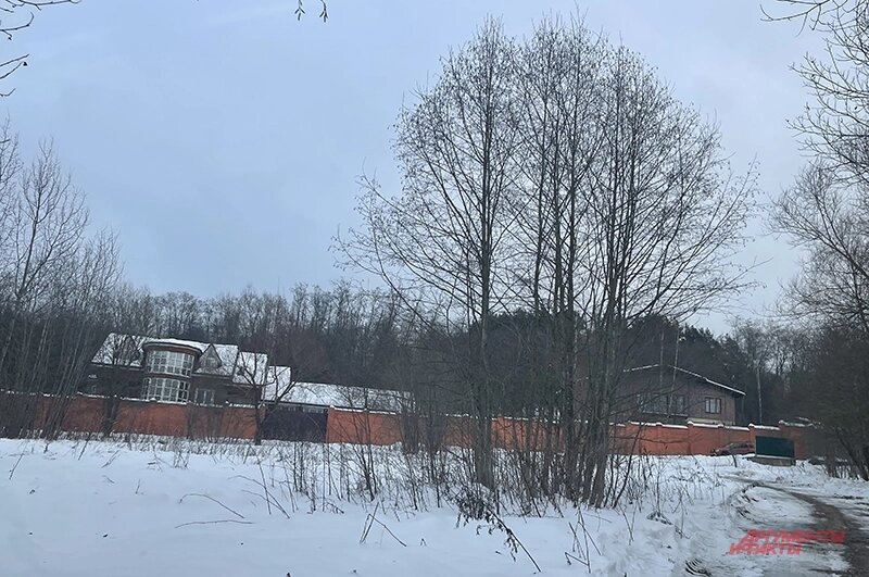    Фото:  АиФ/ Татьяна Солдатова