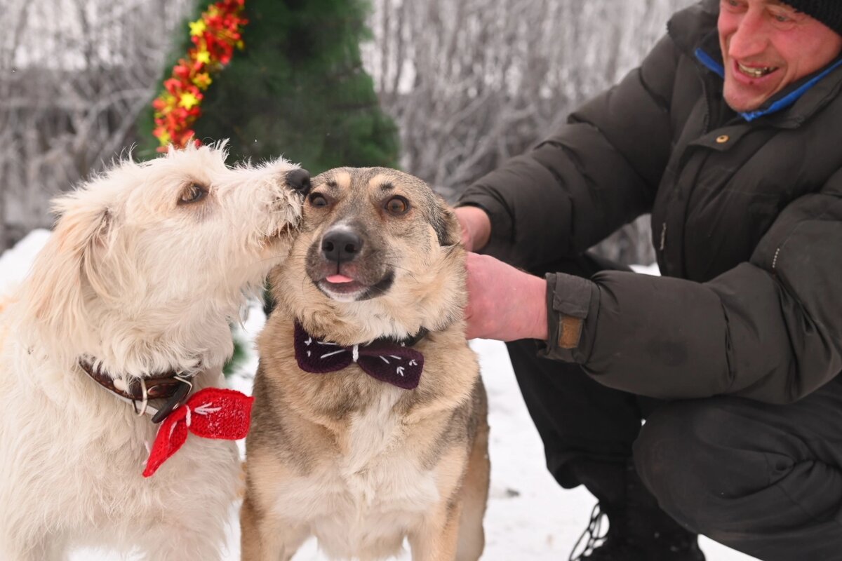 Балла и Шейла