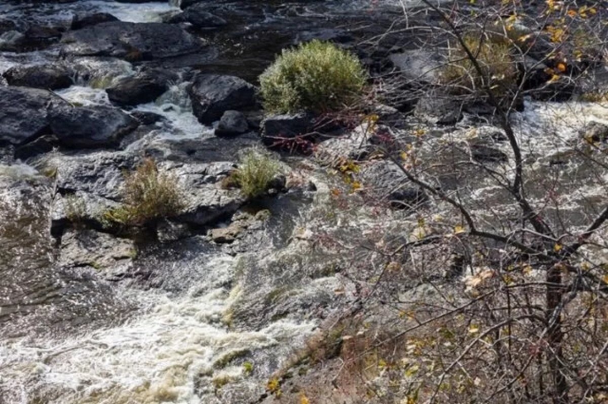    О чем ревет Буркан.