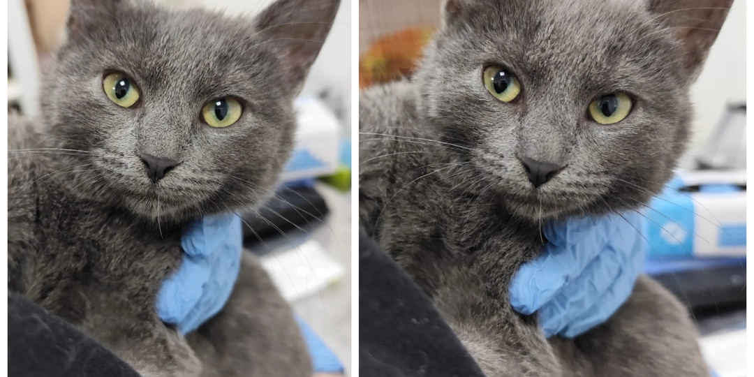 Приветствуем новичков