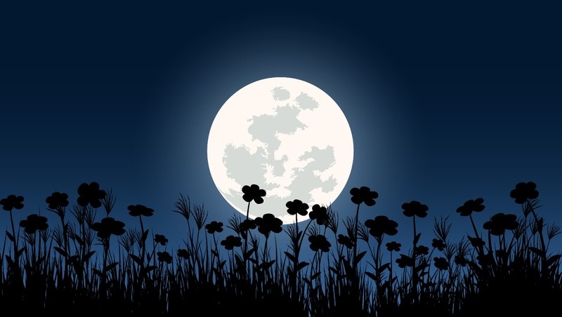 Фото: @lunardesign / freepik.com