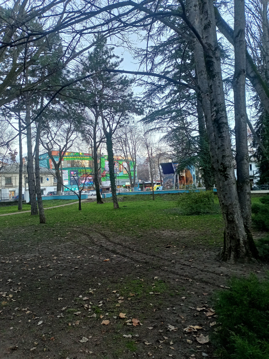 Утренняя прогулка 