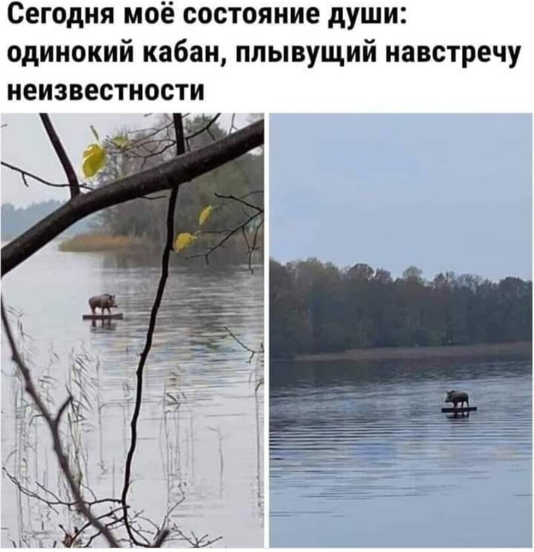 Из интернета, автора не знаю. 