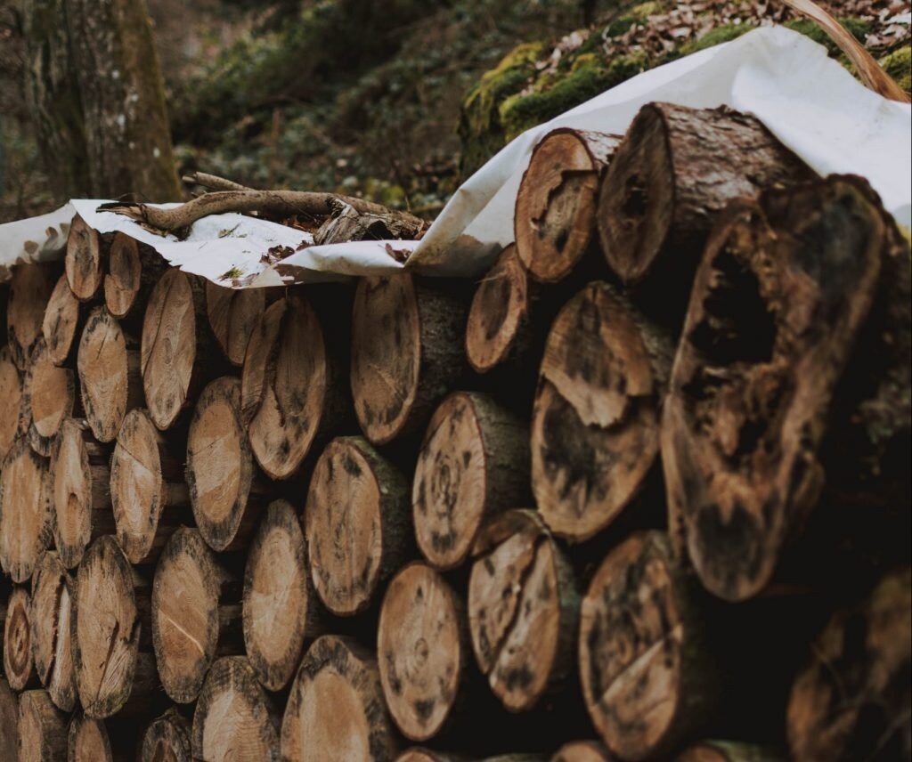    Фото: lilartsy: Pexels