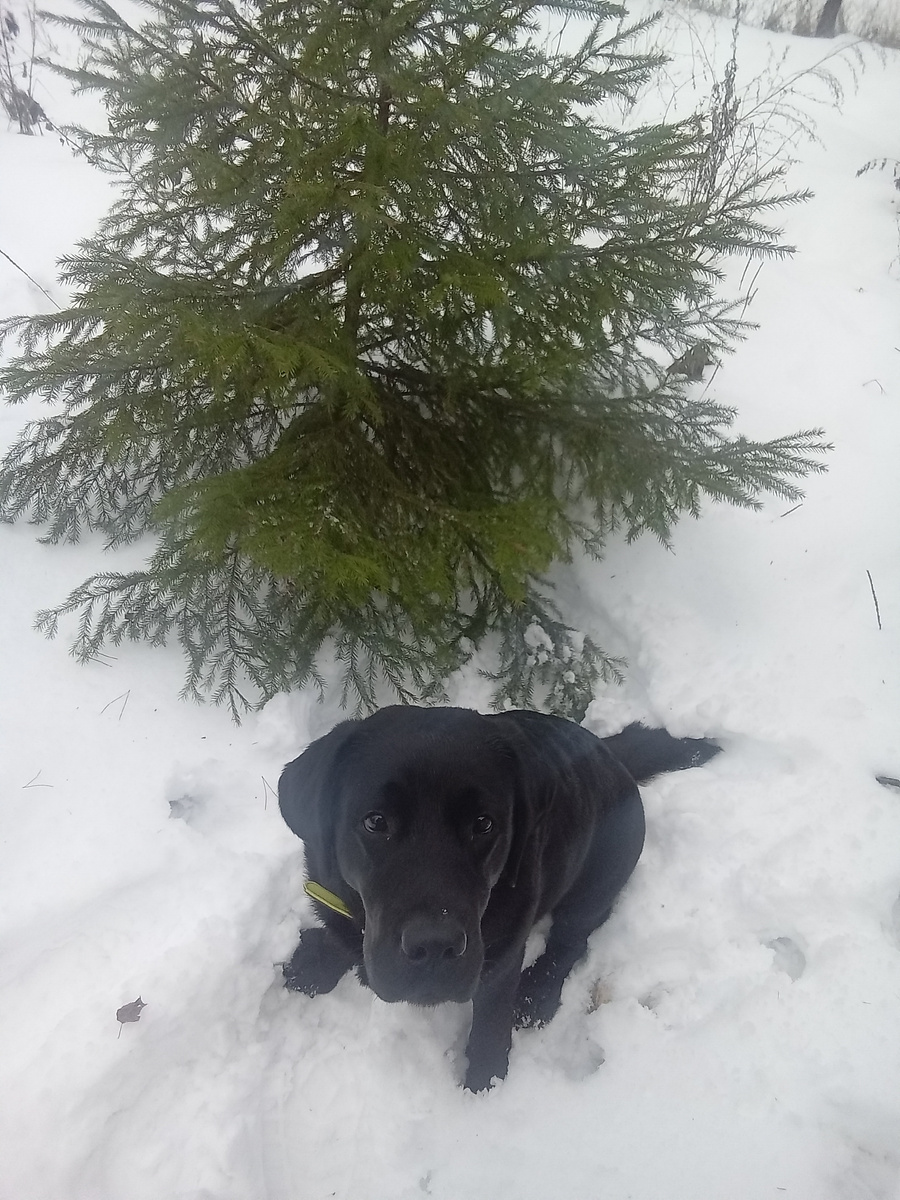 Фото автора.