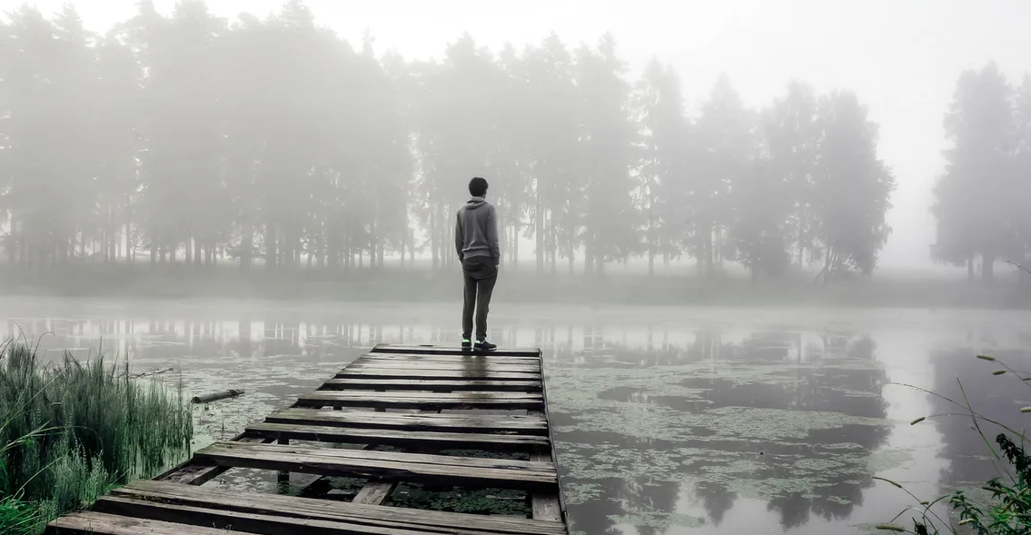 Яндекс картинки