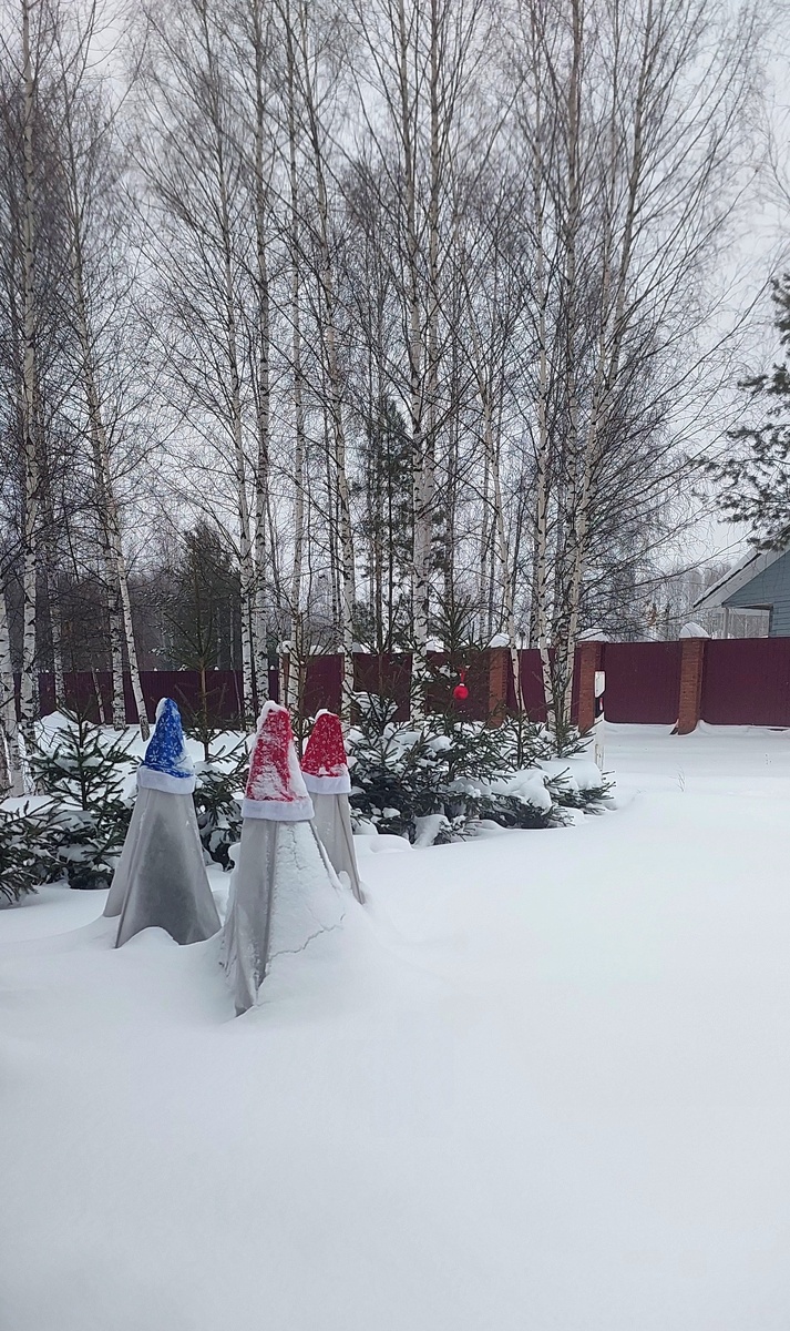 Коники в колпачках.