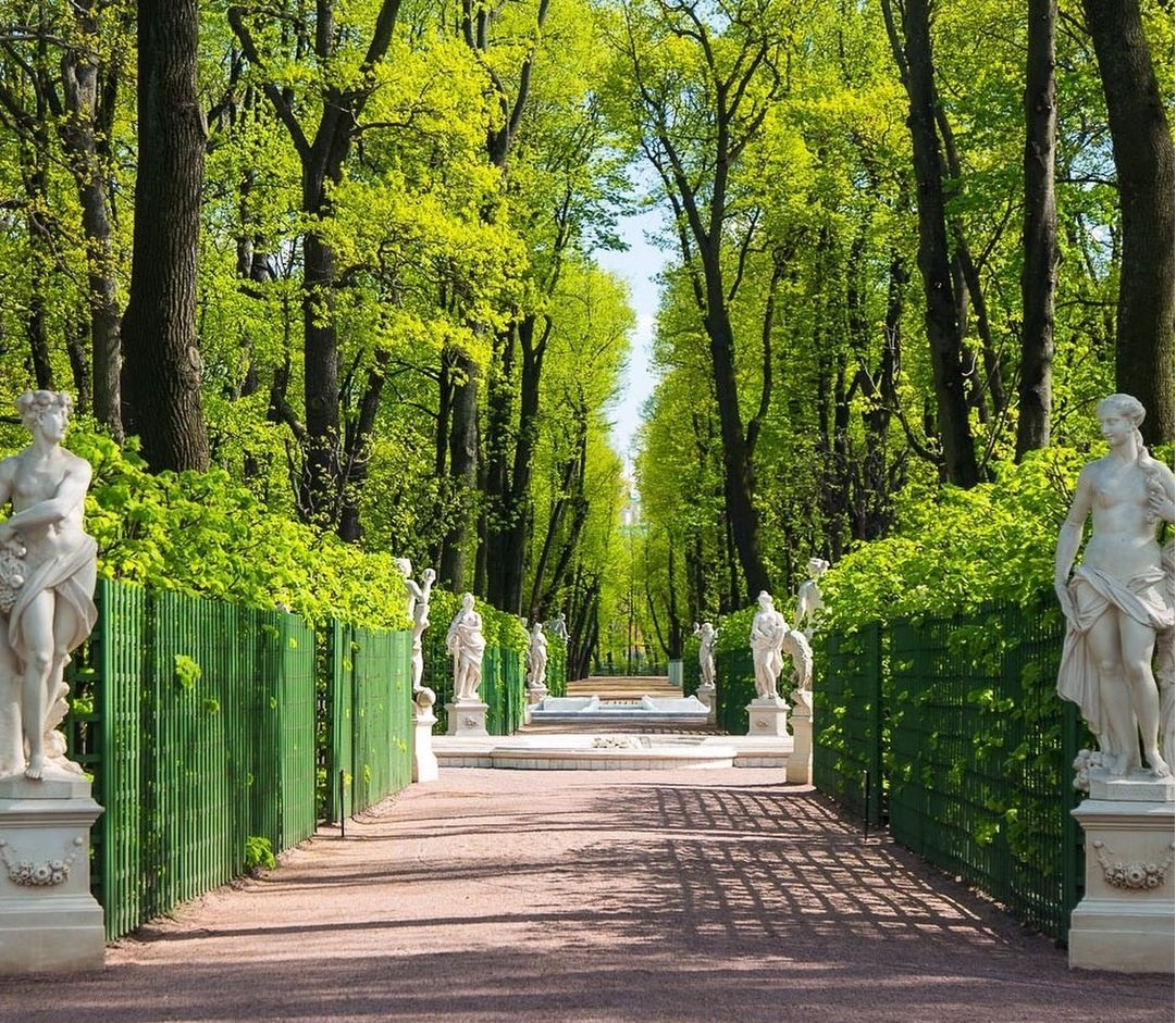 Летний сад. Фото с сайта https://peterburg.center/maps/letniy-sad.html. Взято с Яндекс.Картинки