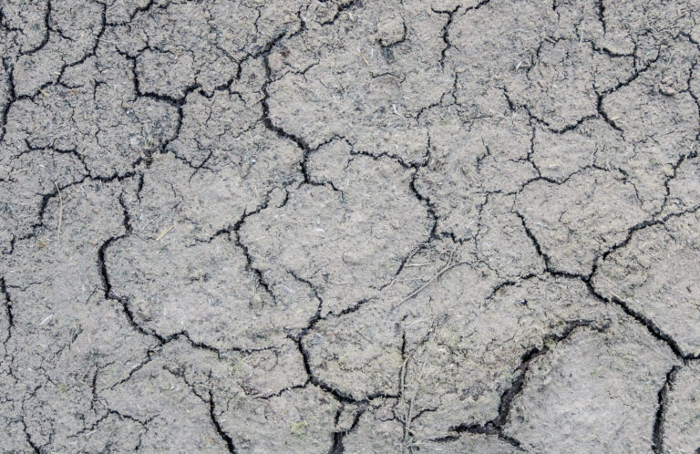    Фото: freepik.com/wirestock Алина Лакшина