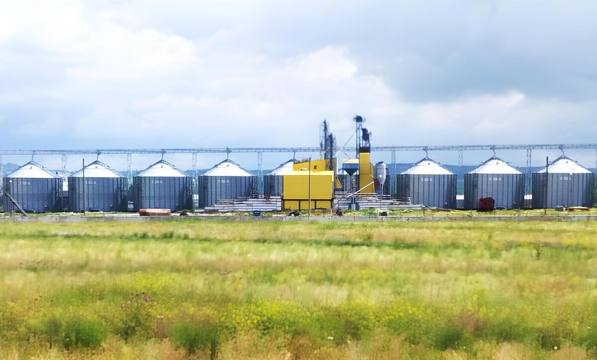 Фото: АПК Новости