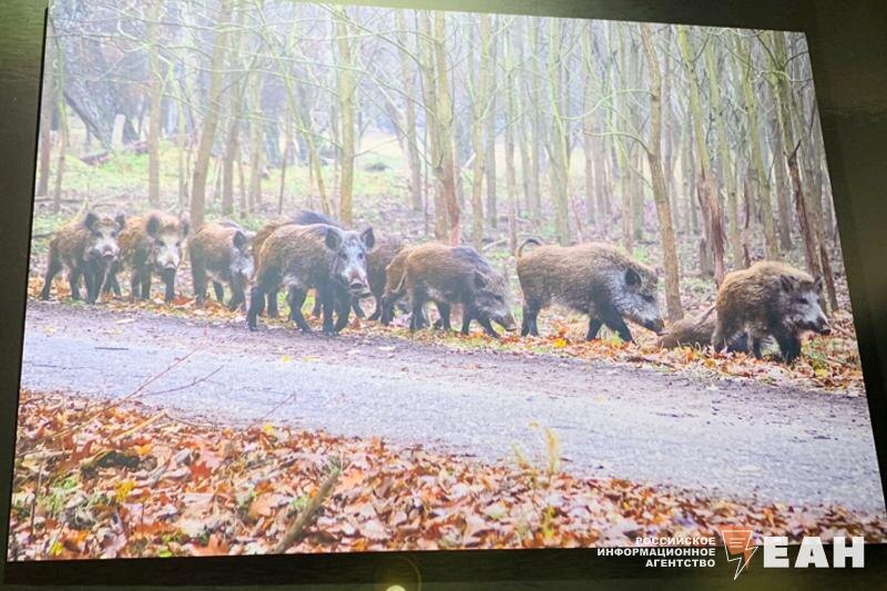    ЕАН. Меценат считает, что музей нужен для образования детей