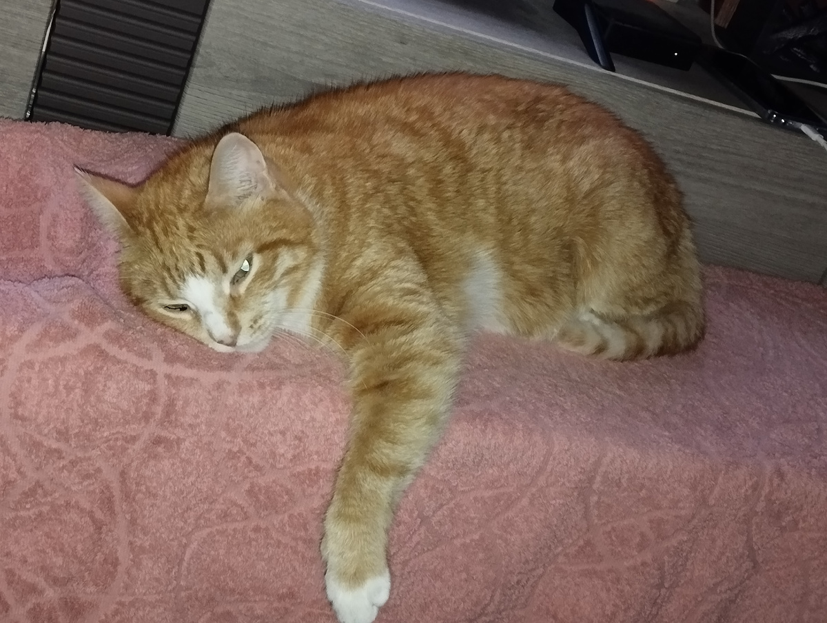 Мой организм предпочитает сейчас чаще всего состояние Гриши 😅