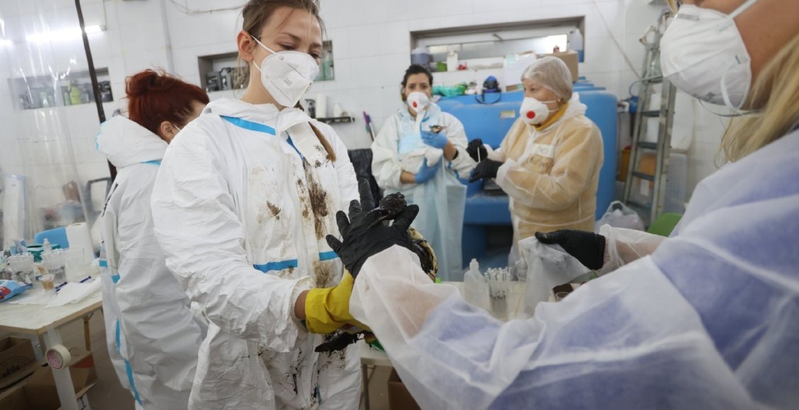    Фото: пресс-служба мэрии города-курорта Анапа