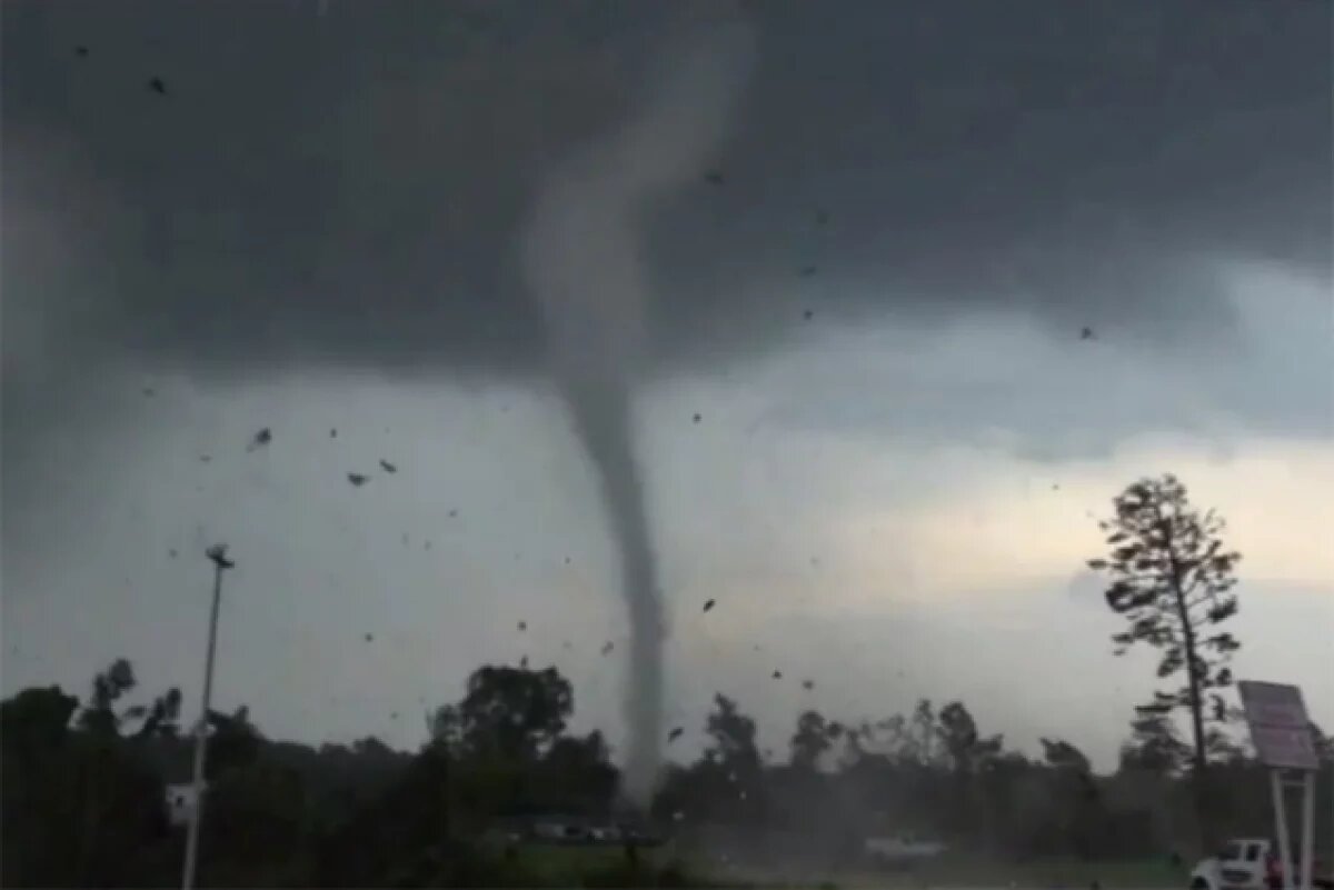    Гнев Земли.