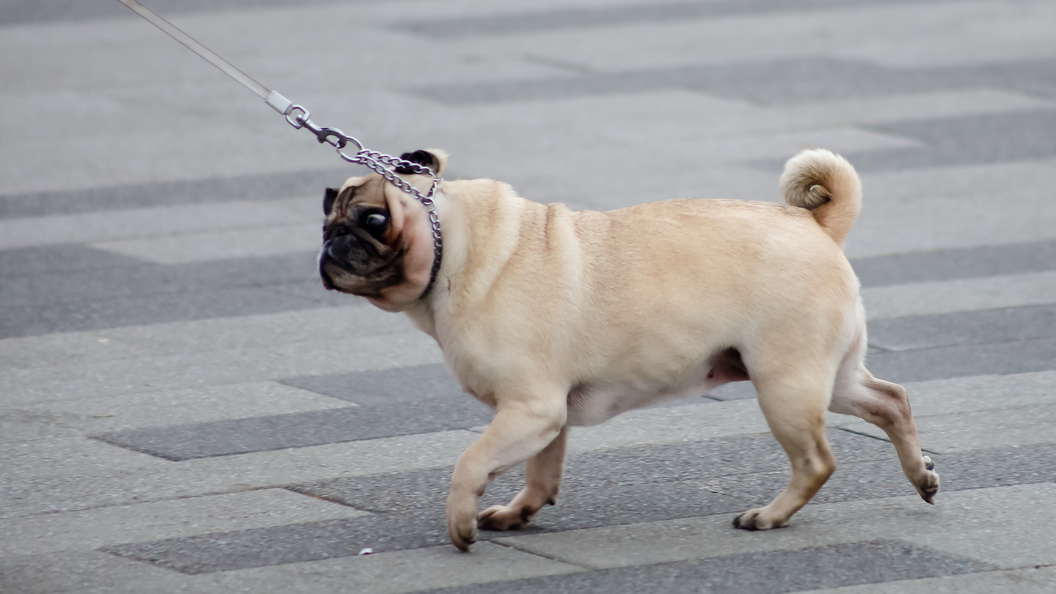    фото: Elena Mayorova/Globallookpress