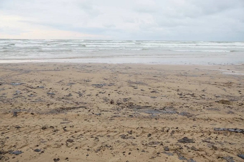    Фото: пресс-служба администрации Краснодарского края